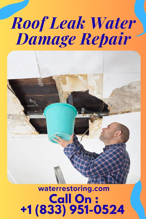 Roof Leak Water Damage Repair in Frankford, MO
