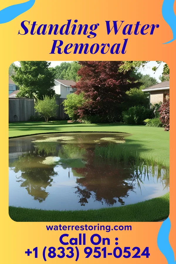 Standing Water Removal in Frankford, MO